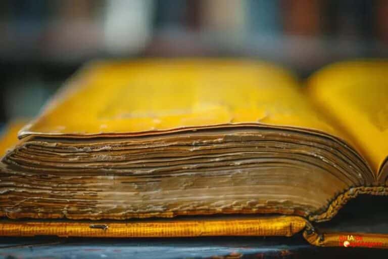 Gerador de Glossário: Faça de maneira fácil e inteligente