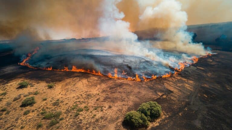 FireSat: Projeto Google visa utilizar Satélites para Prevenir Incêndios Florestais